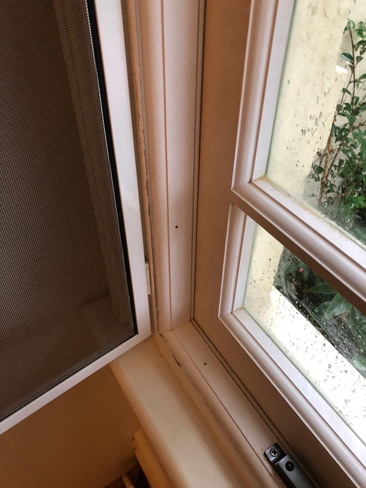 Timber Double Hung Sash Windows Draft Proofing Longueville